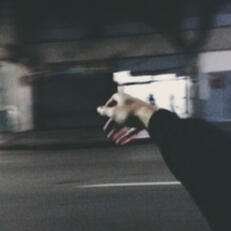 are moments that i will